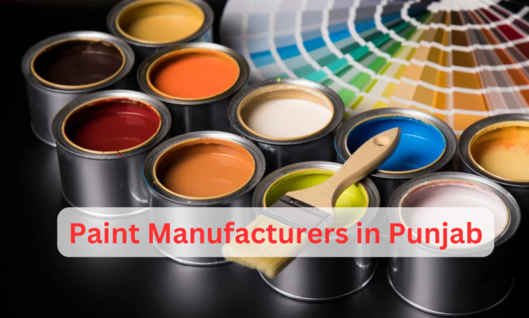 Tips and Tricks of Choosing Top Paint Manufacturers in Punjab​