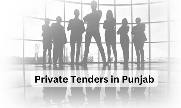 Simple Facts to Win Private Tenders in Punjab